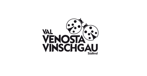 Logo-VIP