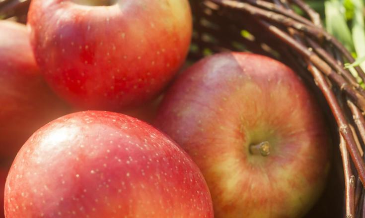 herbstgenüsse-apfel-fb