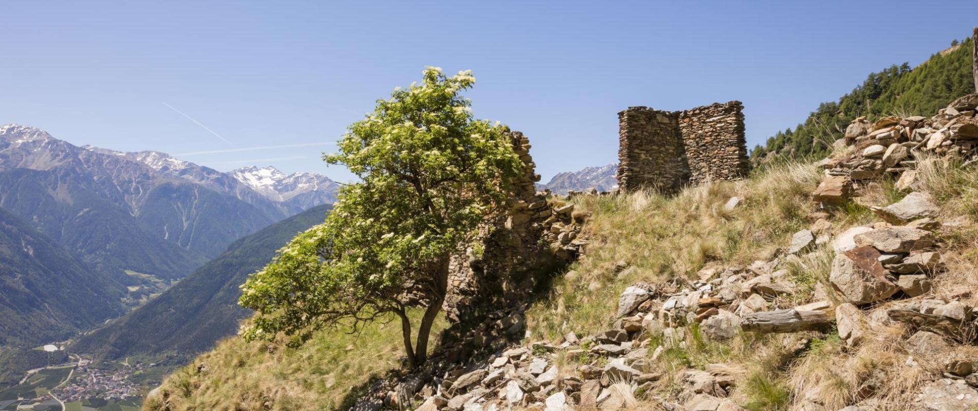 Sull'alta via della Val Venosta