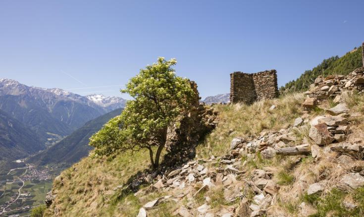 Sull'alta via della Val Venosta