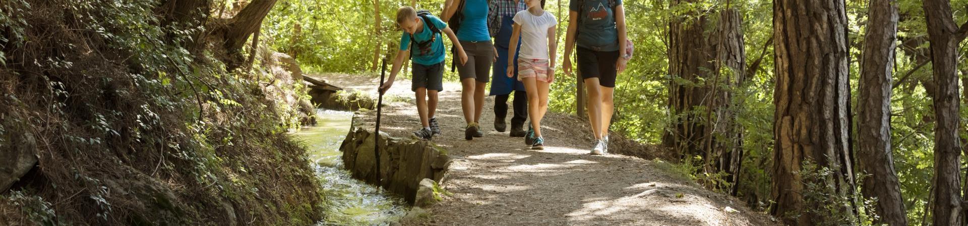 Una famiglia su un sentiero delle rogge