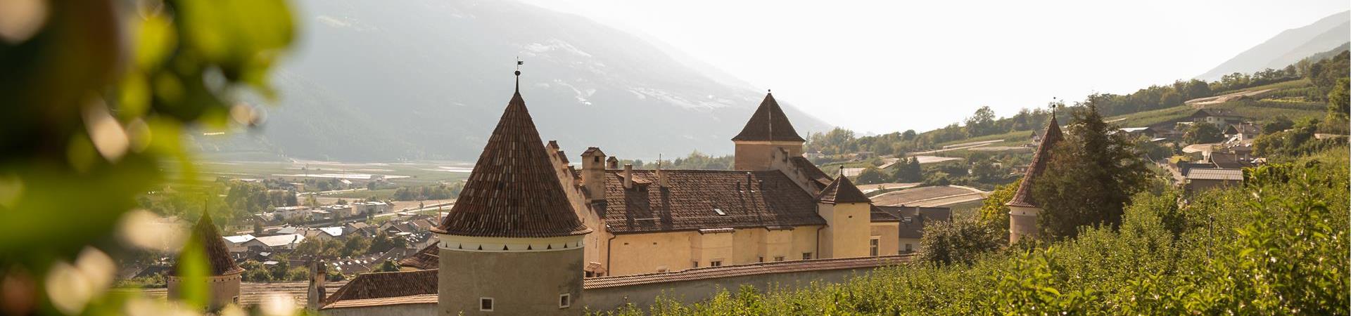 Schloss_Goldrain