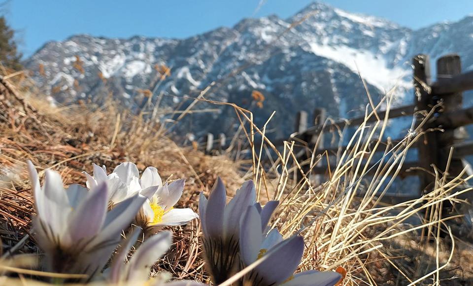 Escursione primaverile
