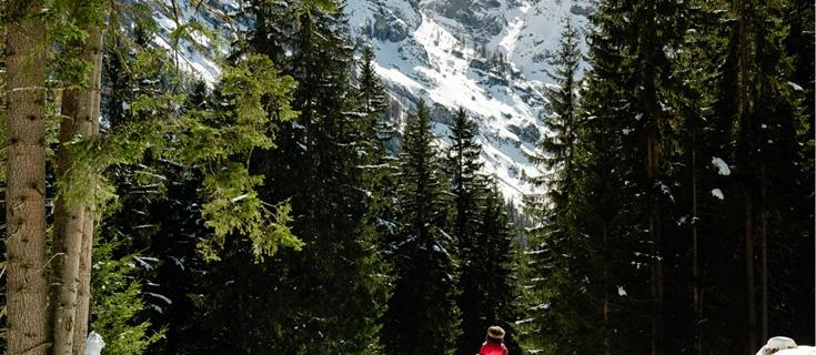 winterwandern_trafoi_ortlergebiet_mtw[2]