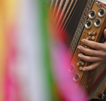 Un'armonica