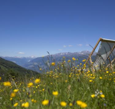 landschaft-liegestühle-wiese-vinschgau-fb