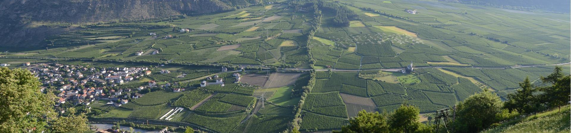 landschaft-gadriahügel-schlanders-laas-gb