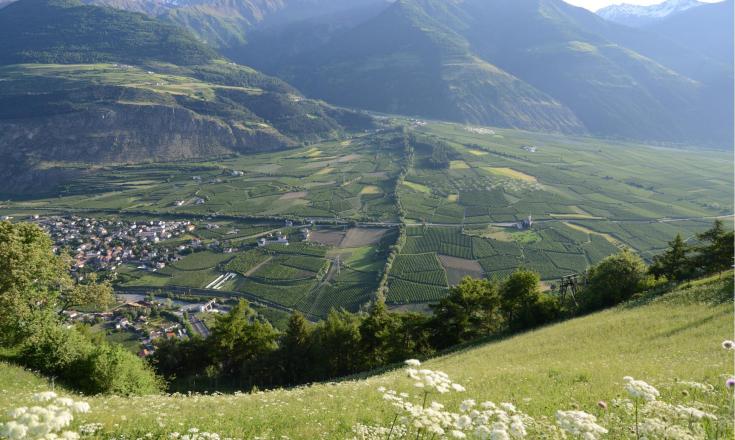 landschaft-gadriahügel-schlanders-laas-gb