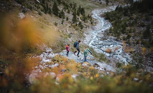 111-idm-armin-terzer-nationalpark-stilfserjoch