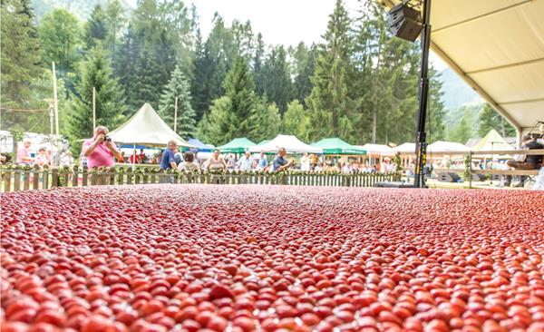 pzlr-erdbeerfest-14