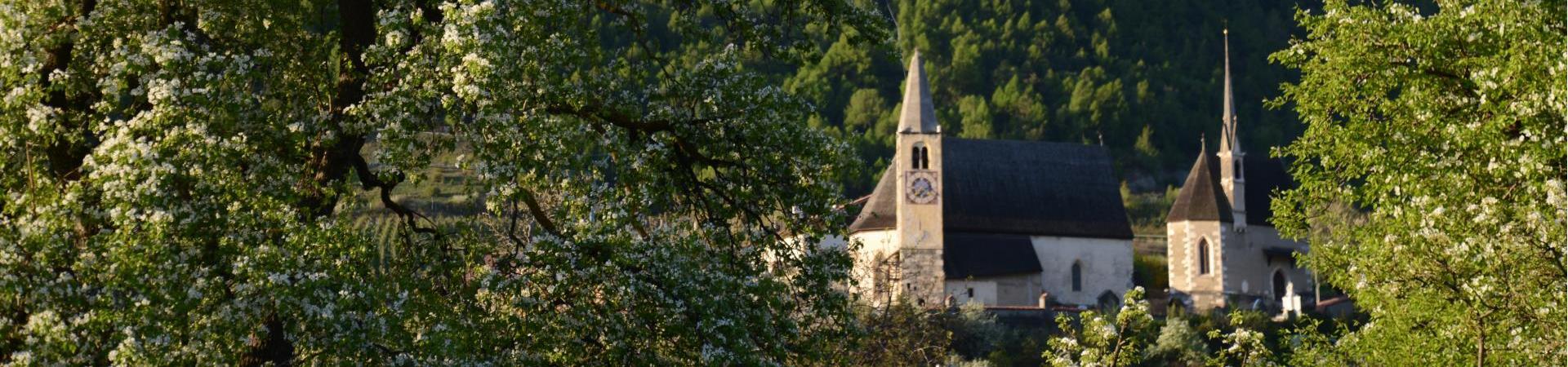 landschaft-göflan-frühling-schlanders-laas-gb