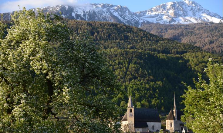 landschaft-göflan-frühling-schlanders-laas-gb