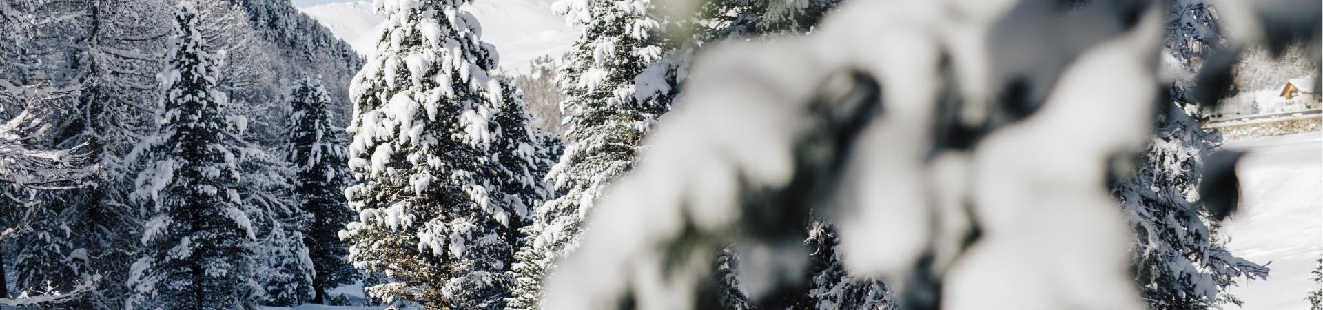 winter-winterlandschaft-vinschgau-bepf