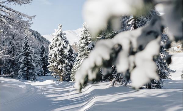 winter-winterlandschaft-vinschgau-bepf