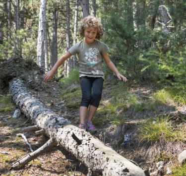 Un bambino in equilibrio su un tronco