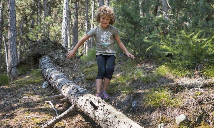 wandern-kind-balanciert-auf-baumstamm-vinschgau-fb