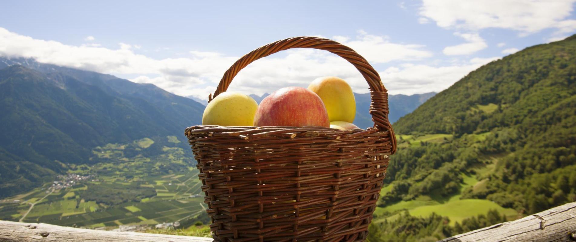 herbstauslese-produkte-apfelkorb-vinschgau-fb[2]