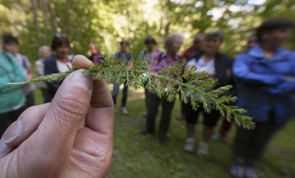 event-kräuterwanderung-vinschgau-fb