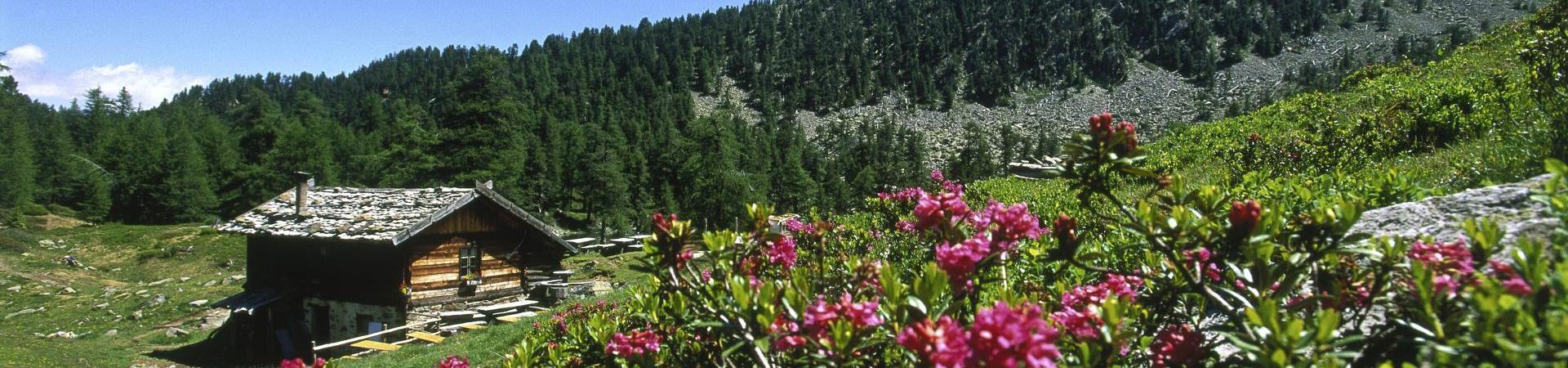 aktiv-wandern-zirmtaler-alm-ub