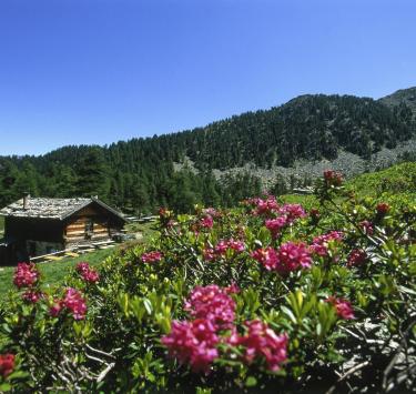 aktiv-wandern-zirmtaler-alm-ub