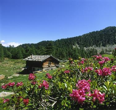 aktiv-wandern-zirmtaler-alm-ub