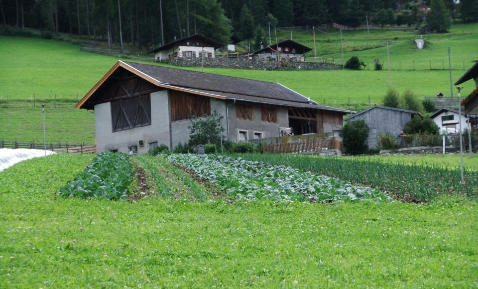 kosten-genießen-mairinghof-schlanders-laas-mpa