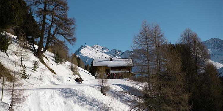 Escursione d'inverno Fragges – malga di Prato - rifugio Forcola