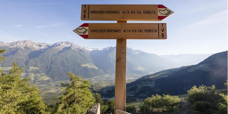 Alta Via Val Venosta, tappa 2: Da Planol ai masi Glieshöfe