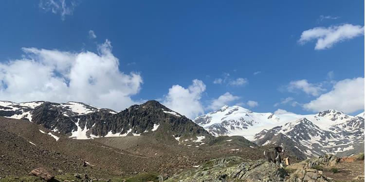 Sentiero glaciologico Val Martello