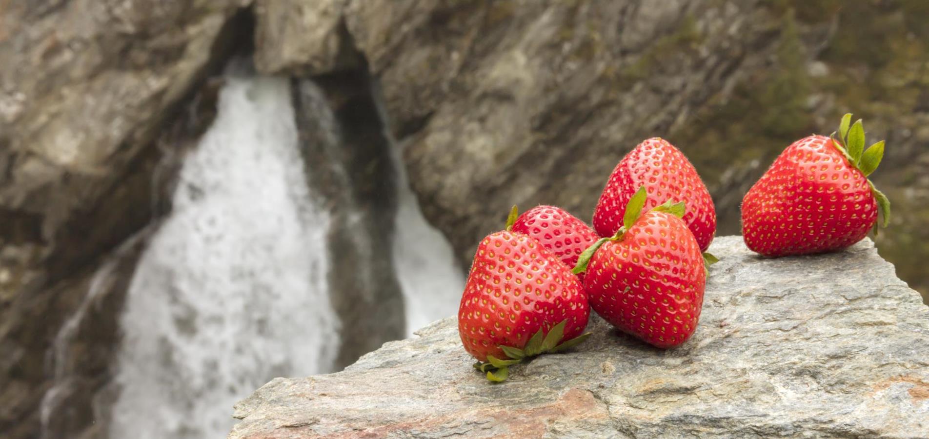 produkte-erdbeeren-vinschgau-fb