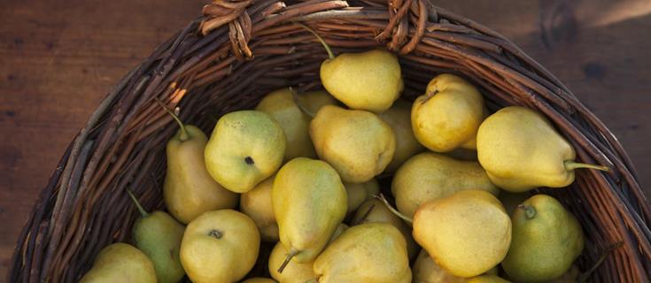produkte-palabirne-im-korb-vinschgau-fb
