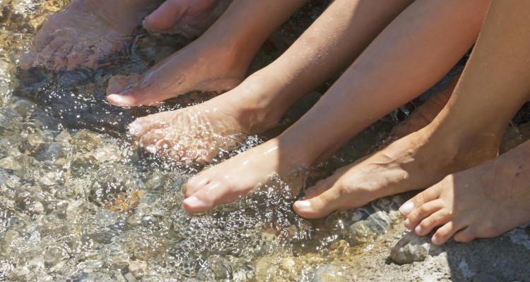 Piedi