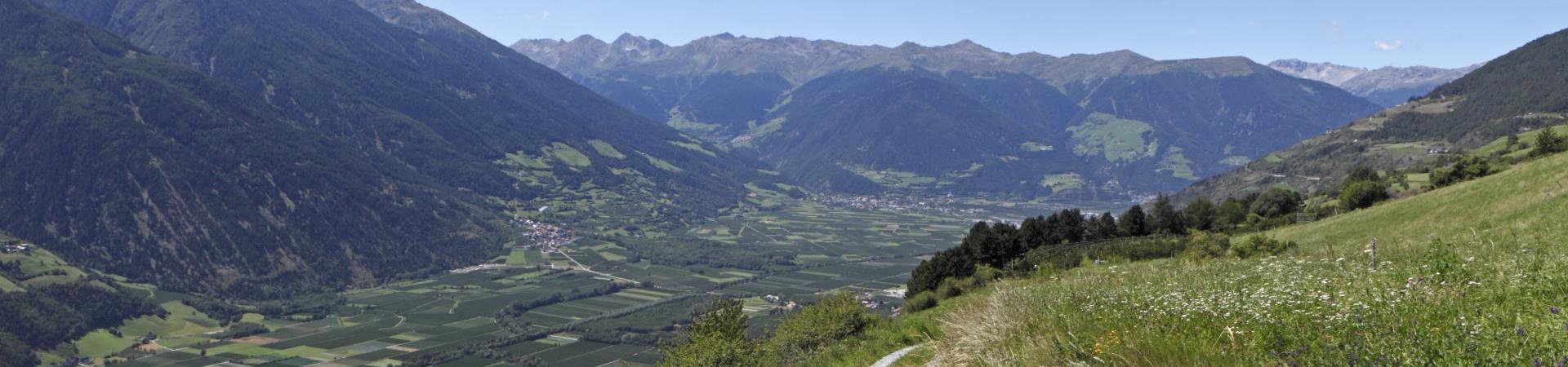 Estate in Val Venosta