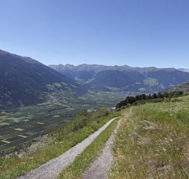 Estate in Val Venosta