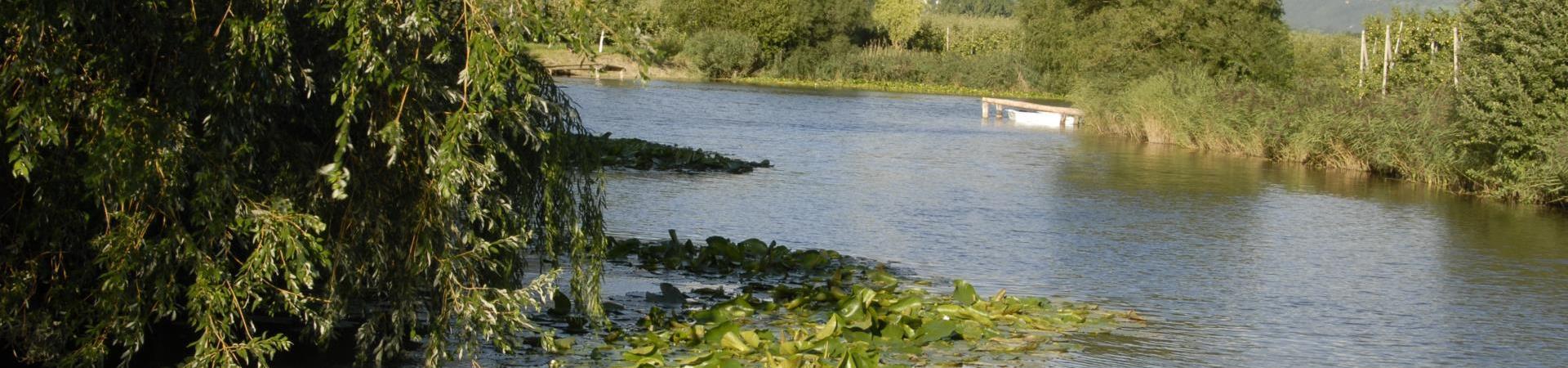 landschaft-fischteich-blick-tschengls-schlanders-laas-gb