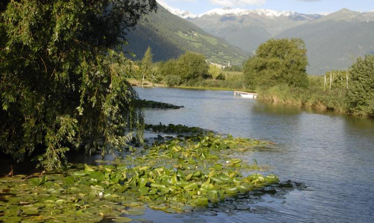 landschaft-fischteich-blick-tschengls-schlanders-laas-gb