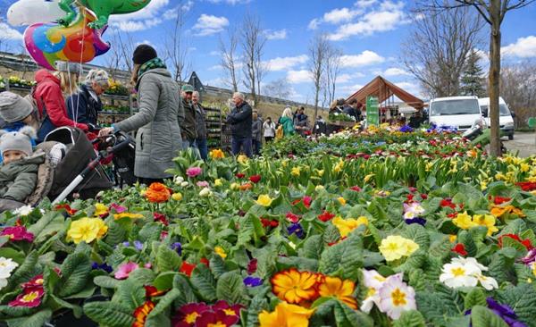 whatsapp-image-2026-02-19-at-17-01-34-1