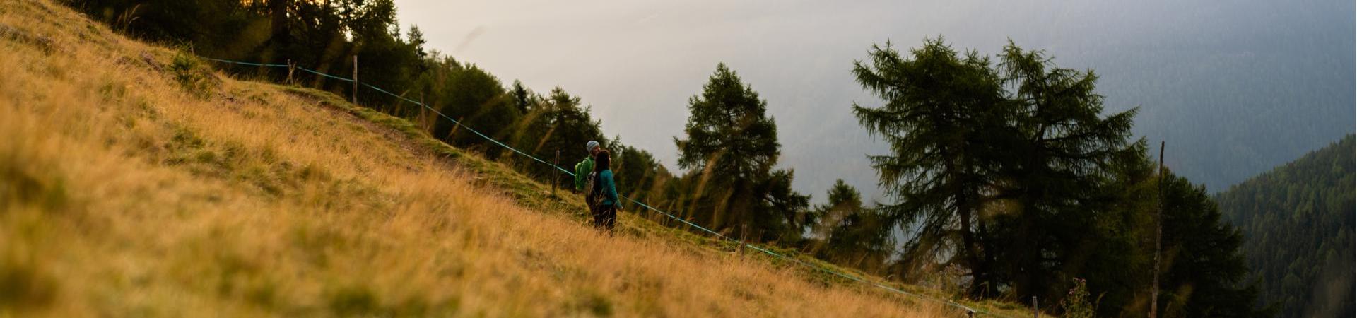 wandern-stilfserjoch-ortlergebiet-MW