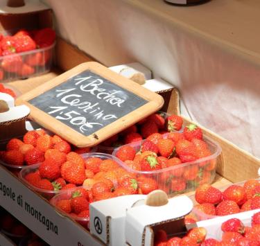 produkte-erdbeeren-obervinschgau-gm