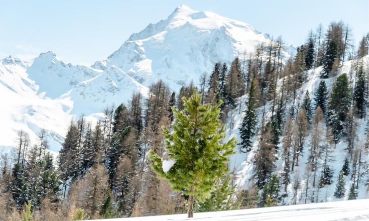 winterlandschaft_trafoi_ortlergebiet_mtw