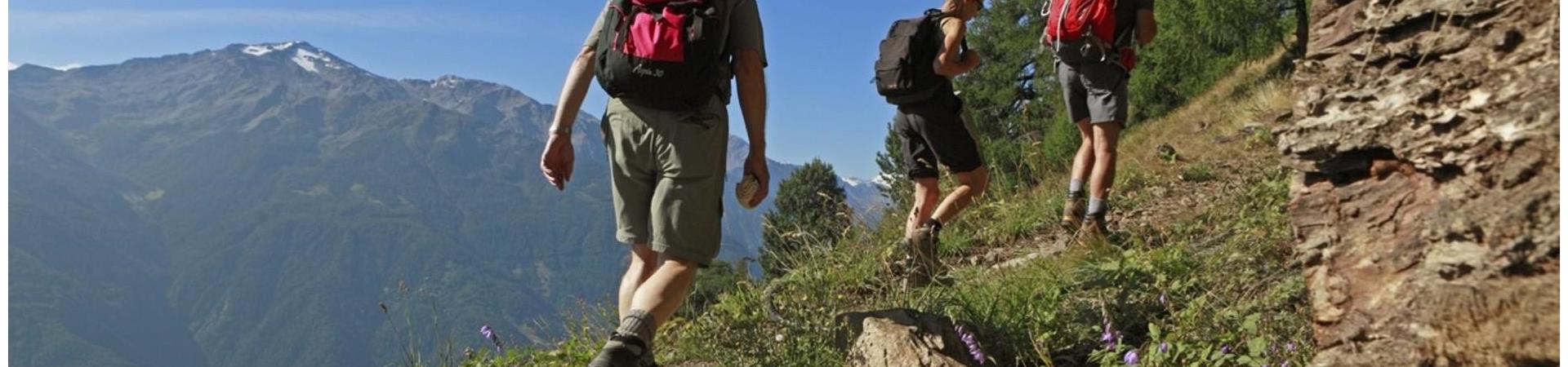 wandern-sonnenberg-latsch-schlanders-vinschgau-fb