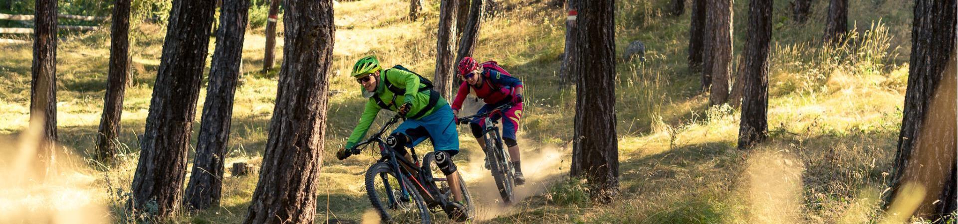 Mountainbike nel bosco