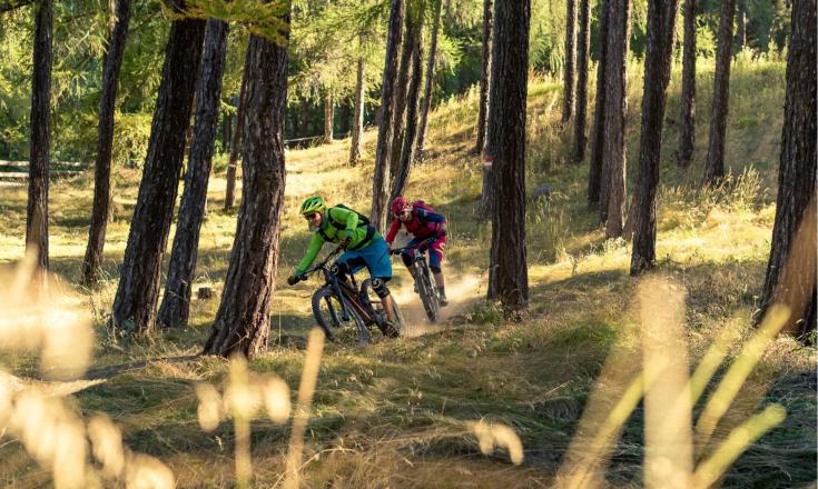 Mountainbike nel bosco