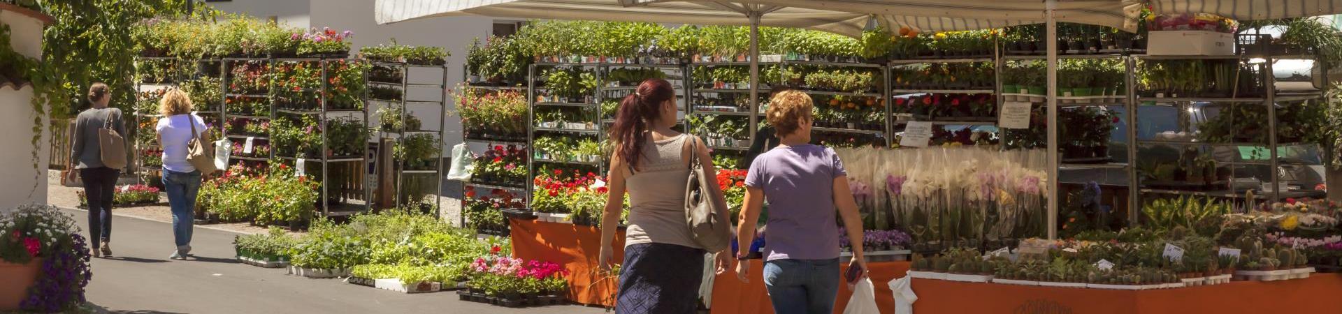 märkte-wochenmarkt-prad-vinchgau-fb