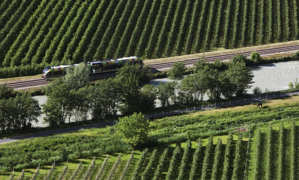 vinschgerbahn-zwischen-apfelwiesen-fb