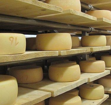 Sennerei Käse