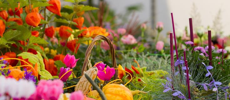 event-blumenmarkt-glurns-obervinschgau-gm