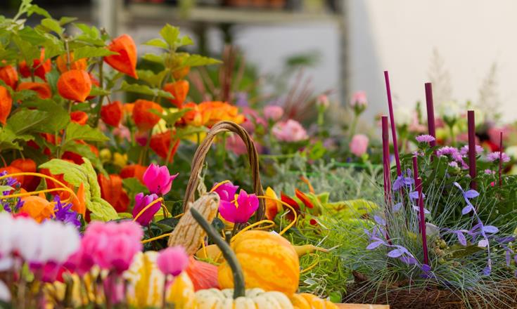 event-blumenmarkt-glurns-obervinschgau-gm