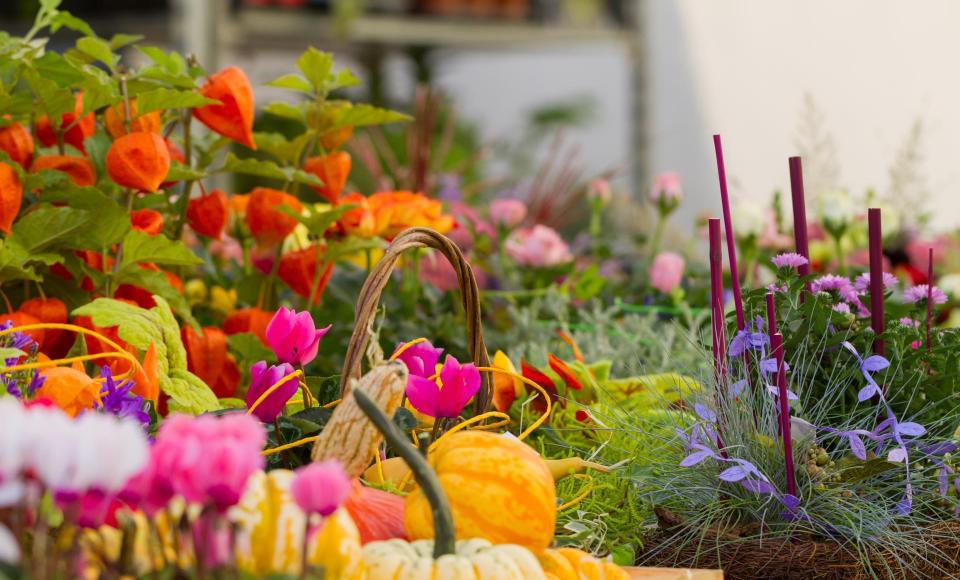 event-blumenmarkt-glurns-obervinschgau-gm